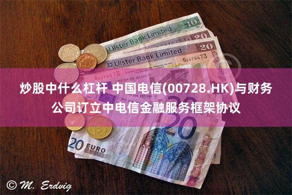 炒股中什么杠杆 中国电信(00728.HK)与财务公司订立中电信金融服务框架协议