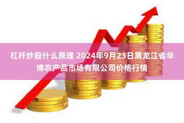 杠杆炒股什么原理 2024年9月23日黑龙江省华博农产品市场有限公司价格行情