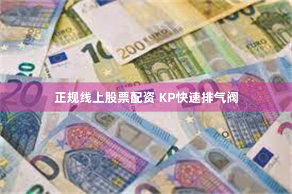 正规线上股票配资 KP快速排气阀