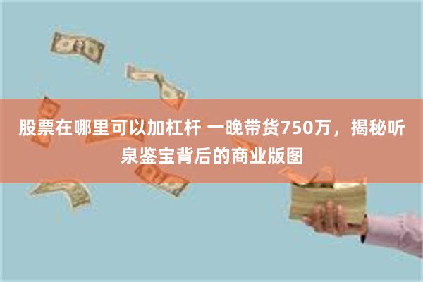 股票在哪里可以加杠杆 一晚带货750万，揭秘听泉鉴宝背后的商业版图