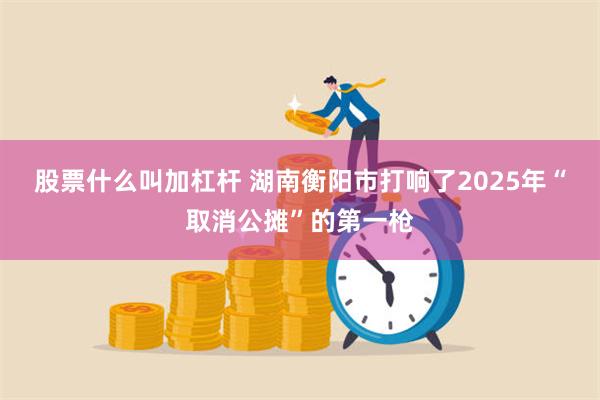 股票什么叫加杠杆 湖南衡阳市打响了2025年“取消公摊”的第一枪