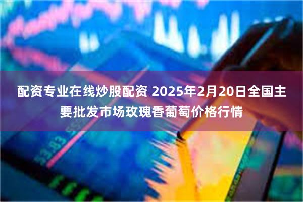 配资专业在线炒股配资 2025年2月20日全国主要批发市场玫瑰香葡萄价格行情